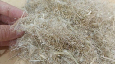Light, fibrous material in shades of beige and cream, clumped in a hand, resembling processed pineapple leaf fiber.