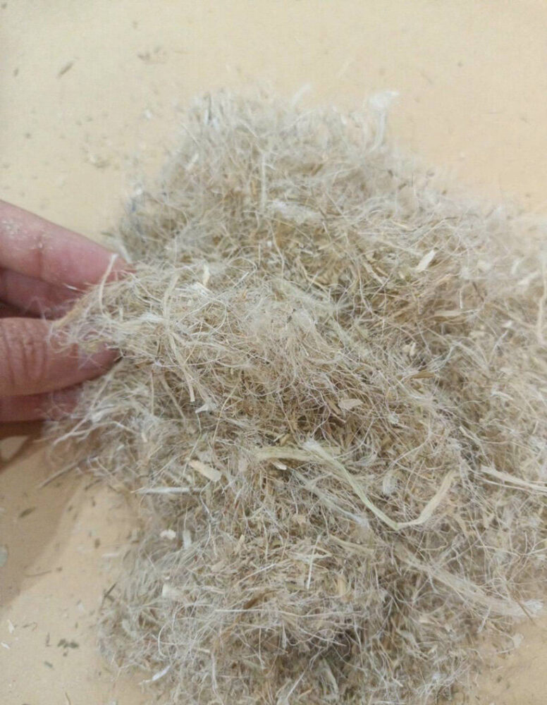 Light, fibrous material in shades of beige and cream, clumped in a hand, resembling processed pineapple leaf fiber.