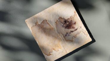 Square tile featuring a textured surface with natural patterns in earthy tones of beige and brown, set against a muted background.