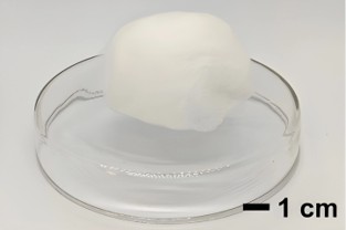 A white, fluffy ball of phase-change material resting on a clear petri dish, with a scale bar indicating 1 cm.